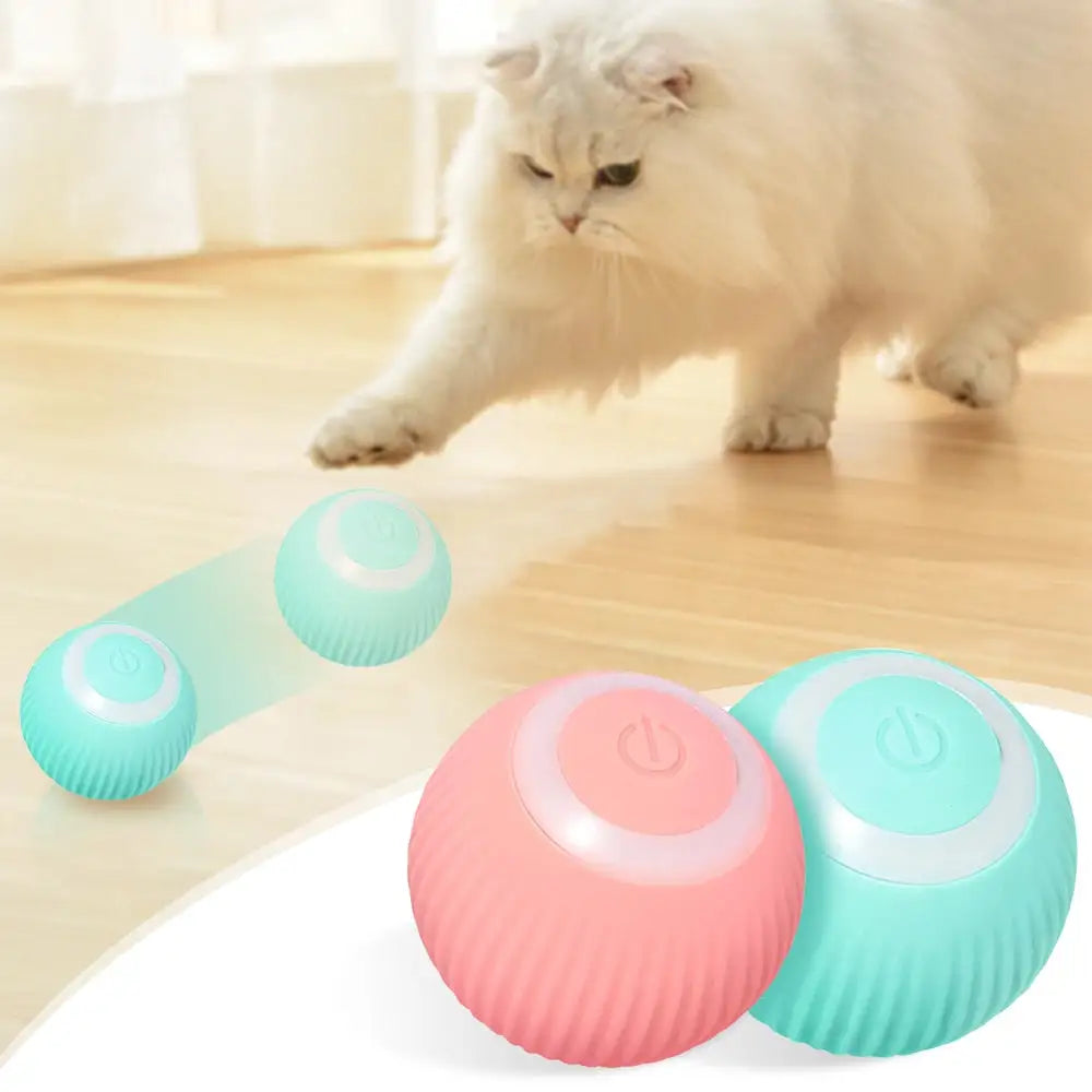 🎉 Unleash the Fun with Active Rolling Ball! 🐈
